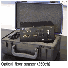 optical fiber sensor