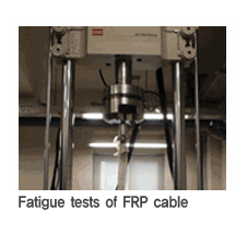 Examples of major tests5